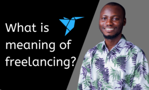 What is meaning of freelancing
